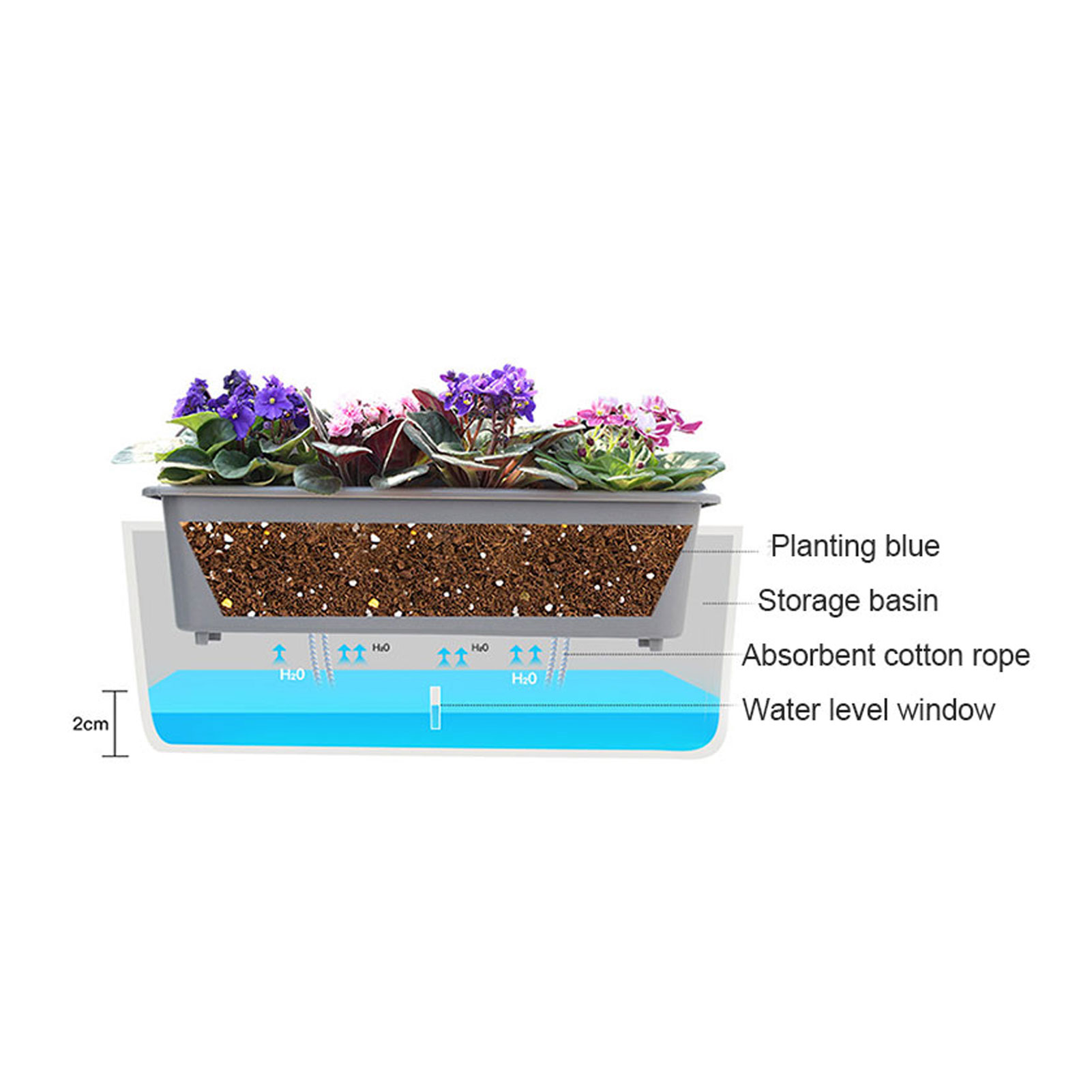 自動給水プランターポット 便利な水位インジケーター付き 友人 - Self Watering Insert のレビューと価格
