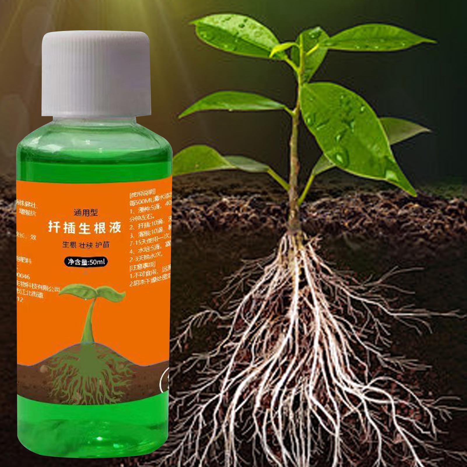植物挿し木用高効率根刺激剤、発根促進剤、庭園植物用速根成長促 - Root Stimulator Liquid のレビューと価格