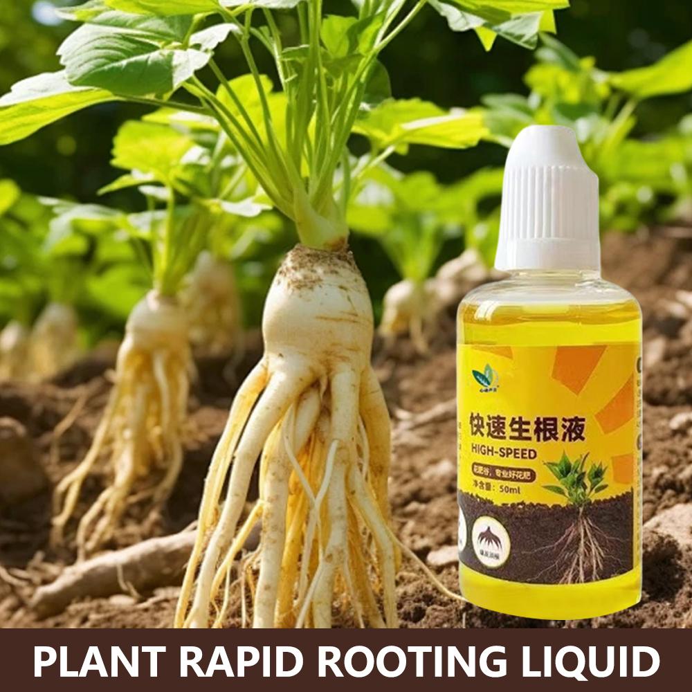 緑色植物の根刺激剤液体切断発根栄養刺激剤急速発根花促進剤根液 - Root Stimulator Liquid のレビューと価格